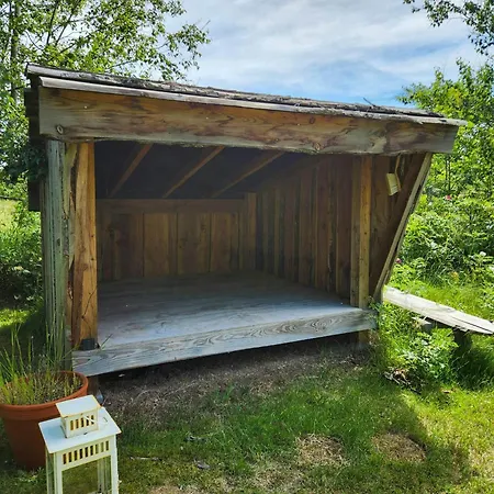 Family On Als With Sauna And Shelter Ferienhaus